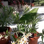 Ideal 3* ساباريفا بانيا