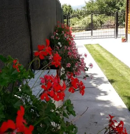 Ideal Saparewa Banja