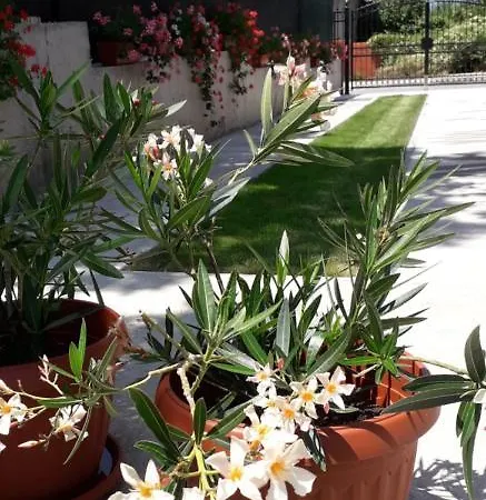 Ideal 3* Sapareva Banya