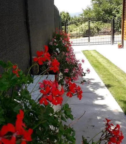 Ideal Sapareva Banya